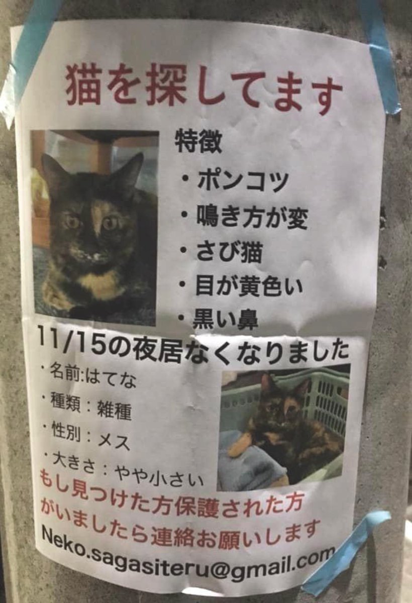 京都市中京区聚楽廻あたりです。
拡散ご協力お願いします。