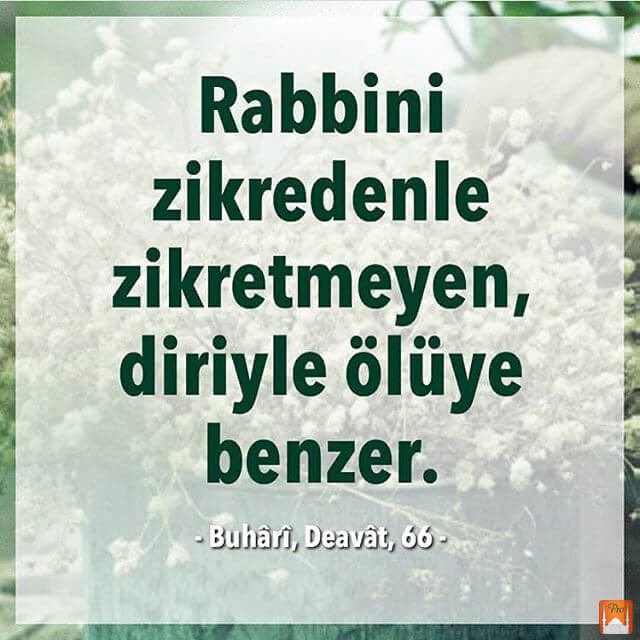 akyasin_'s tweet photo. https://t.co/cWz76W8uQM