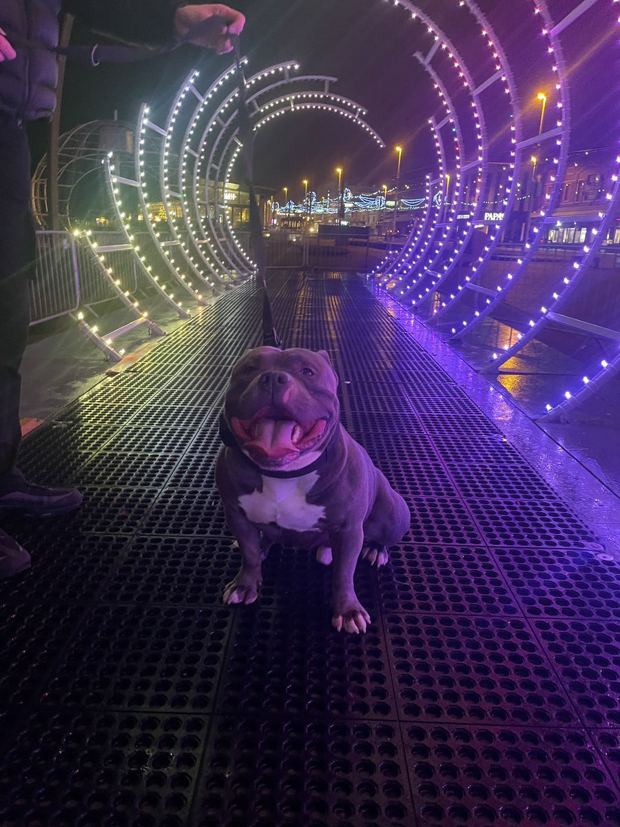 Hanna 🦋☮️ tweet media