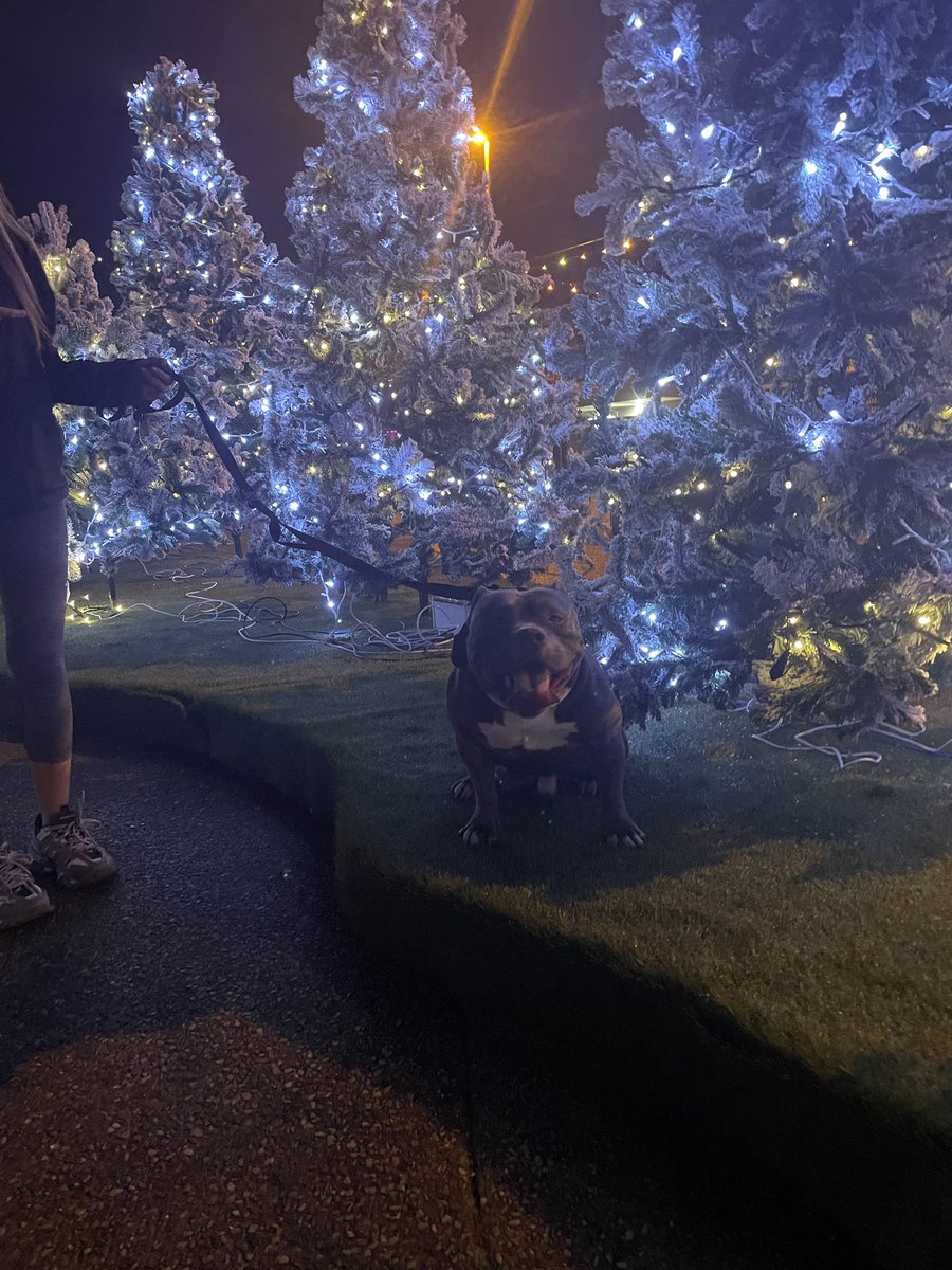 Hanna 🦋☮️ tweet media