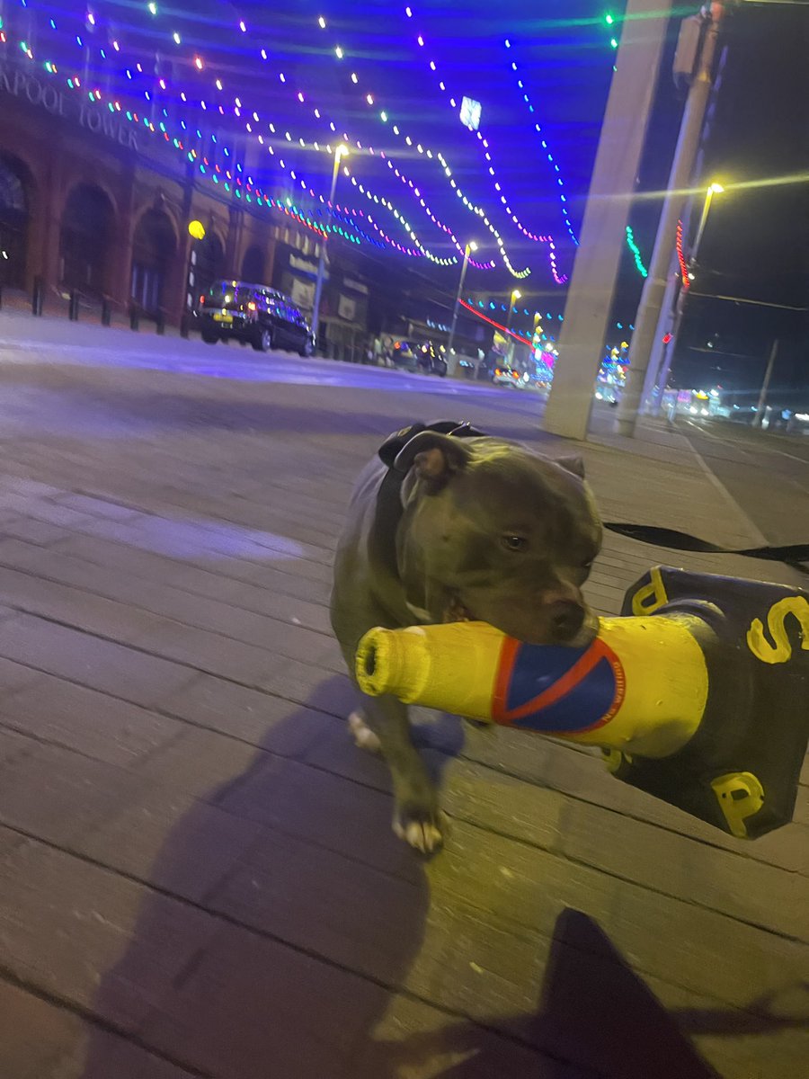 Hanna 🦋☮️ tweet media