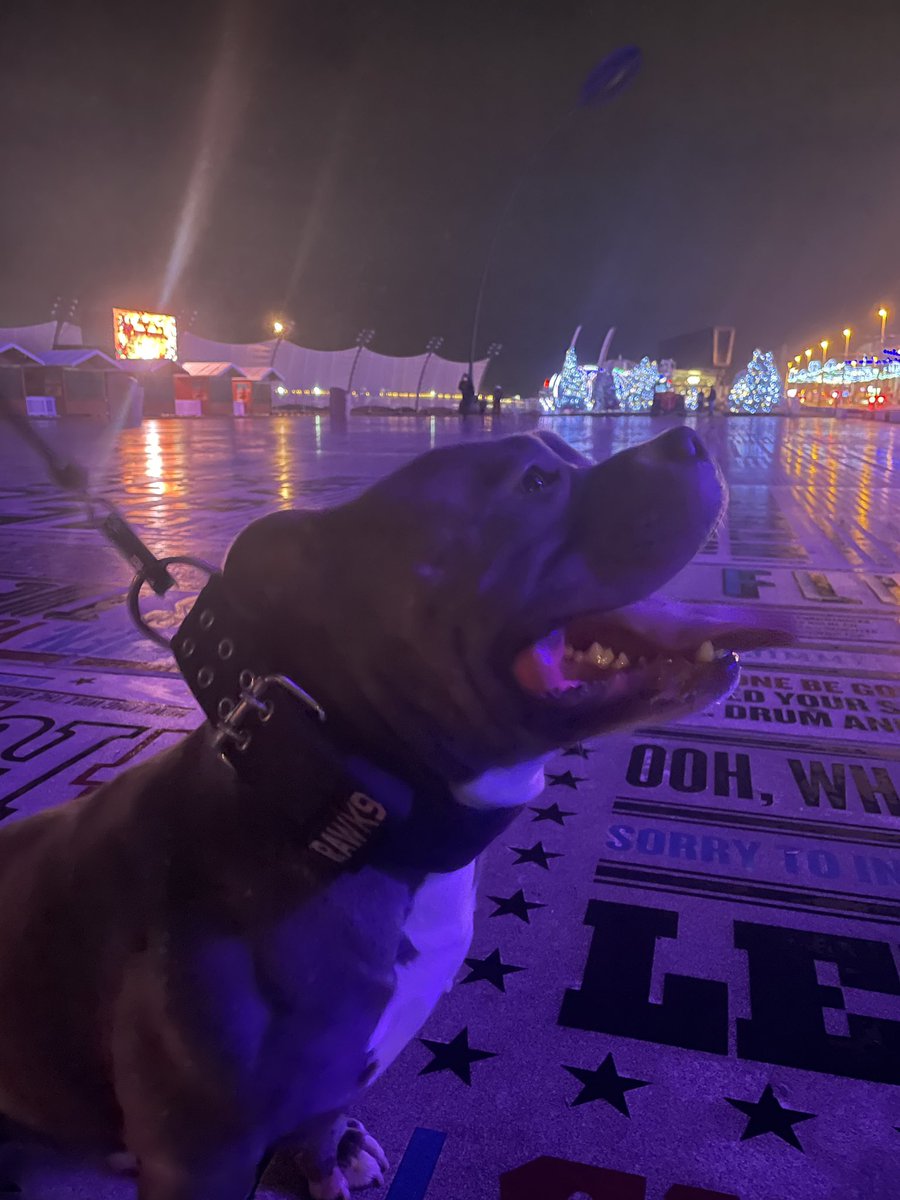 Hanna 🦋☮️ tweet media