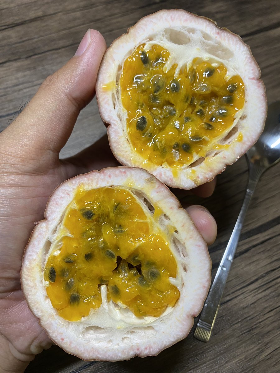 パッションフルーツ Twitter Search Twitter