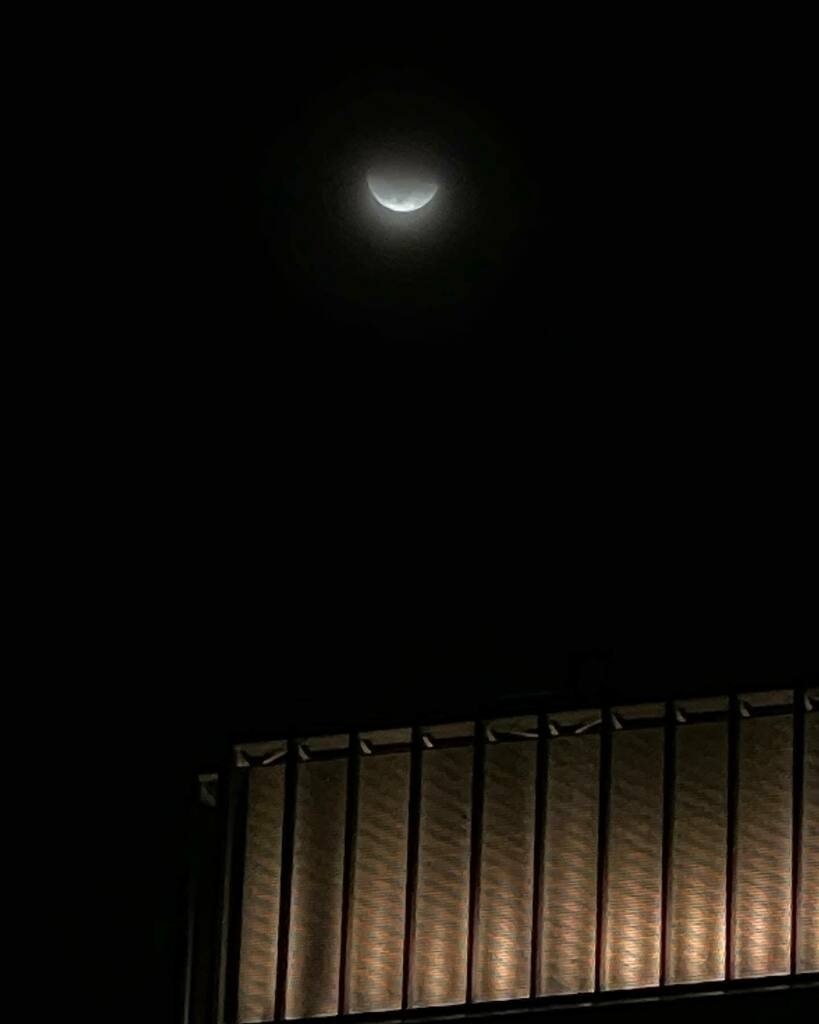 mai_siesta's tweet image. 赤い月が見られず無念
#lunaeclipse #marunouchi #tokyo instagr.am/p/CWdJaSkPOHY/
