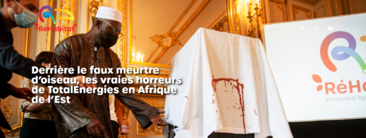 AgenceKaolin's tweet photo. Communication militante :  peut-on prêcher le faux pour sensibiliser et défendre une cause ?
par @olivcim https://t.co/KkFH1Wc4an https://t.co/i1nfjhHK9x