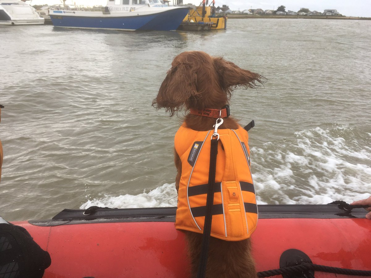 Martin Tully tweet media