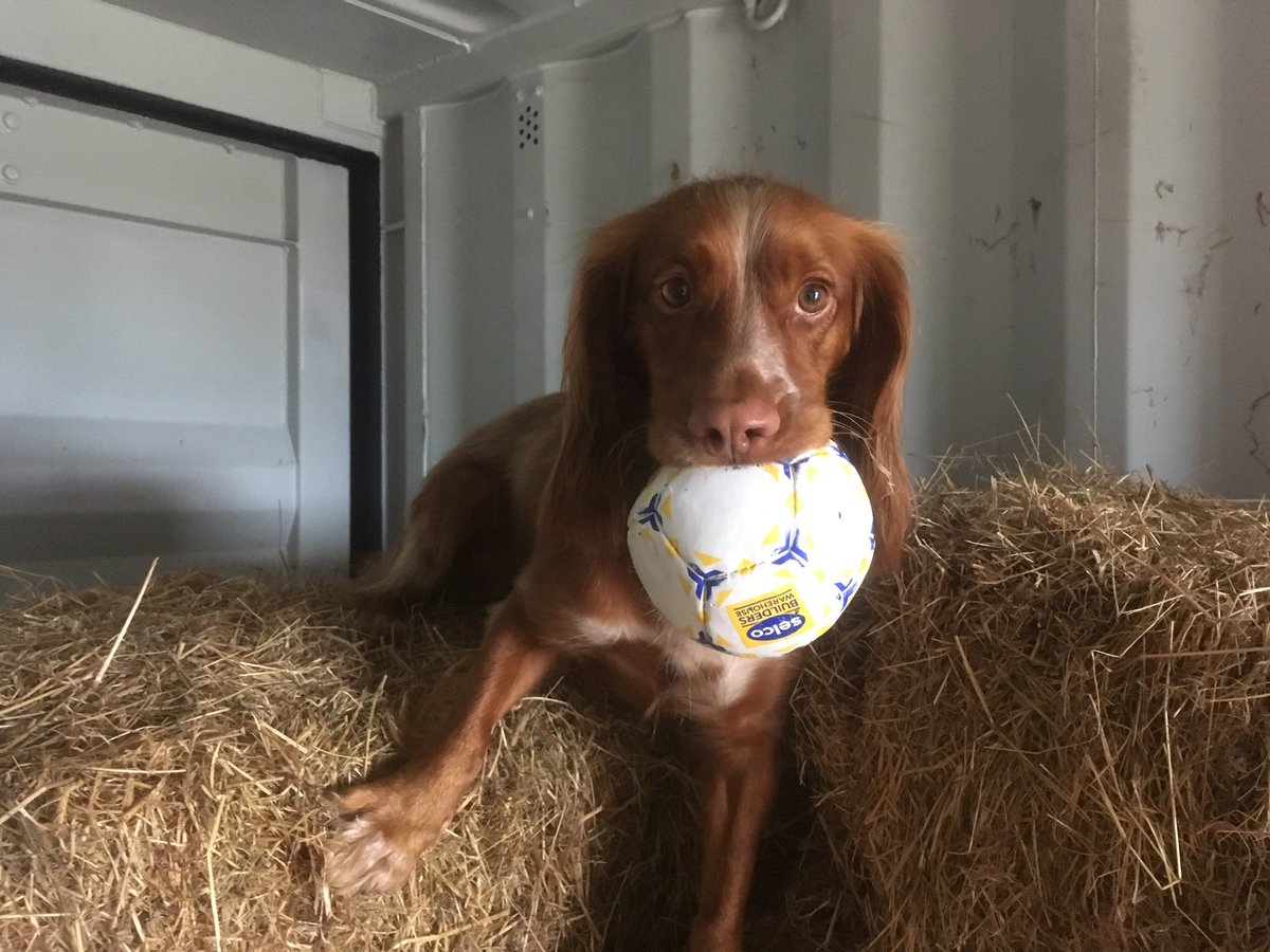 Martin Tully tweet media