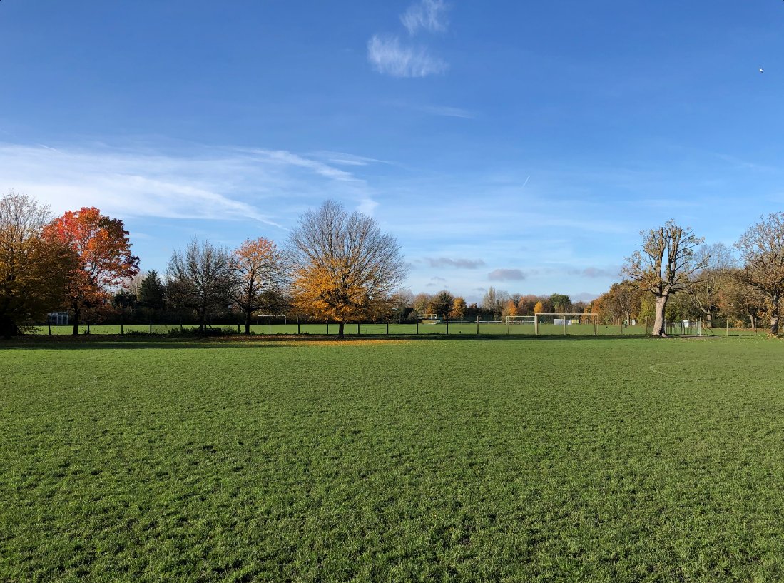 WERAMerton's tweet photo. We have successfully bid for £40k of CIL funds , which will be spent in Abbey Rec and the Green Walk next year.
Funds will be spent on such things as mature trees, daffodils ( see photos ) and wildflowers .
Park benches , signage and fencing were also included in the bid .
. https://t.co/L1QxKn5NIQ