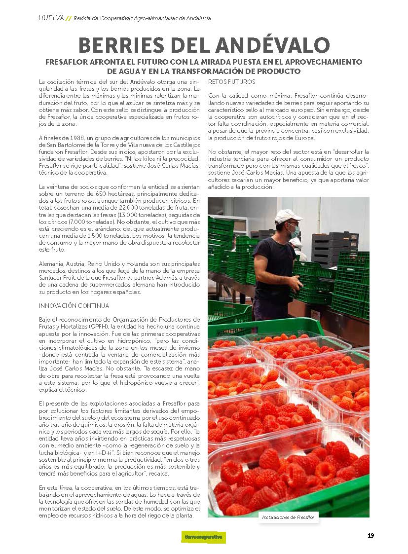 CoopsAgroAND's tweet photo. 🍓🍓Las #fresas y #berries del Andévalo son especiales por la oscilación térmica de la zona
👉#Fresaflor, #cooperativa socia de #Huelva, mira al futuro en el aprovechamiento de #agua y transformación de #producto 💧💧
📰Lee el #reportaje de la #revista #TierraCooperativa https://t.co/WphspDVszo
