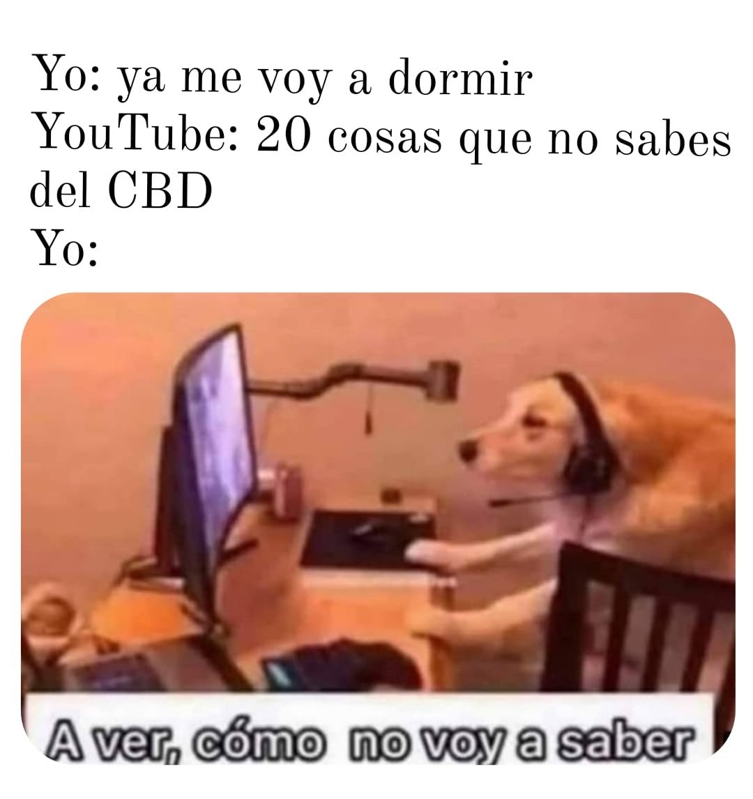CbdeliciousE's tweet photo. ¡En esta empresa somos un poco así!
😅😅😅😅

¿A vosotros también os pasa? 🤔🤔

#CBD #memetwit #cbdonline #viral #TikTok #floresCBD #Cannabis #cbdhash #cbdespana https://t.co/hMH9SgwD5B