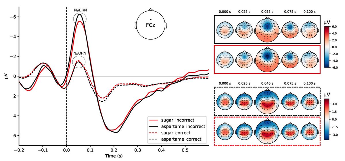 Thomas J. Hosang tweet media