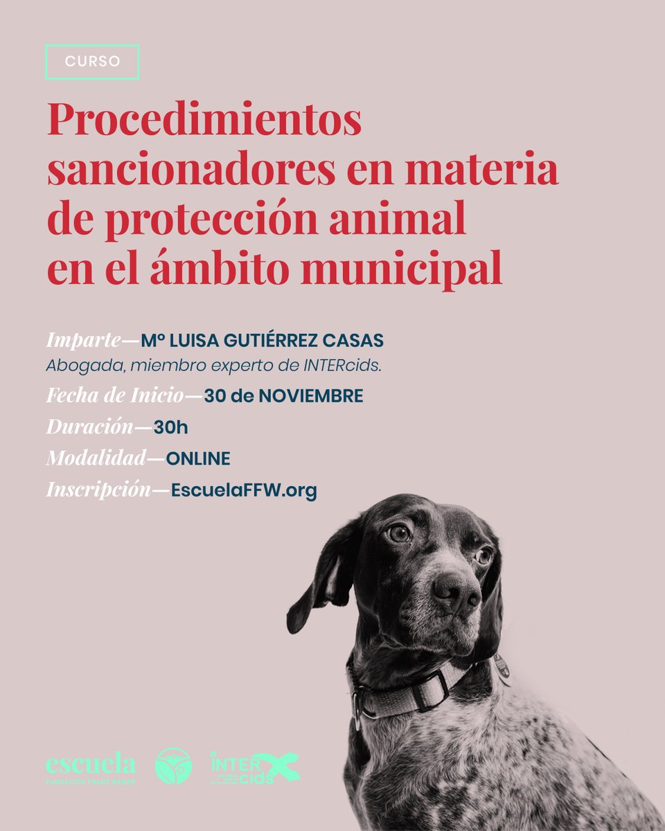 Las entidades municipales suelen ser las primeras en tener conocimiento de los casos de maltrato animal y su actuación es vital. Nuevo curso de la Escuela Fundación Franz Weber en colaboración con INTERcids. Inscríbete aquí: escuelaffw.org/courses/proced… <a href="/ffw_es/">Fundación Franz Weber</a> <a href="/GutierrezCasa/">LuisaGutierrez</a>