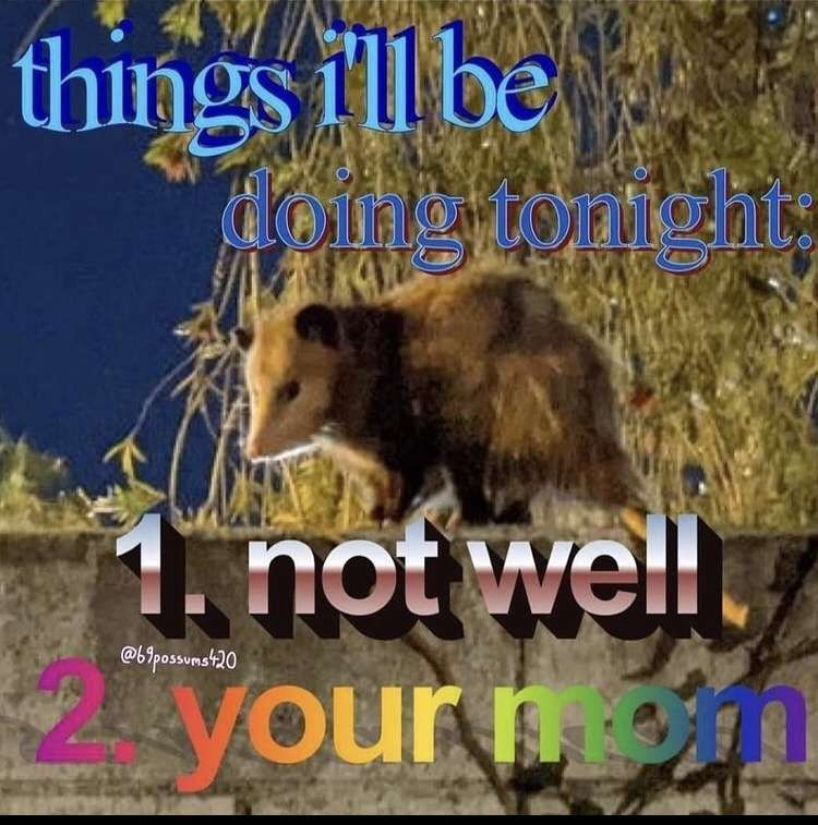 Gus_the_Mus's tweet photo. pog https://t.co/Kk6qbcGk1t