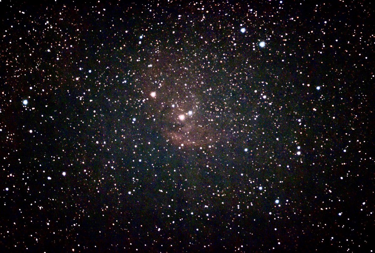 MbuthiaRex's tweet photo. The Tulip Nebula taken from Great Cacapon, WV.  #stellina #vaonis https://t.co/PY6HGrv7ka