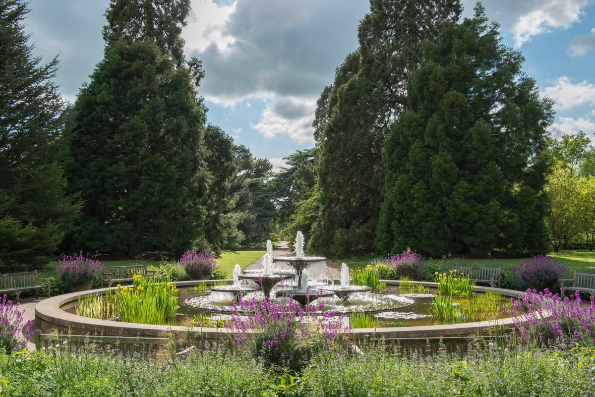 Samuel Brockington (@brockingtonian) on Twitter photo 1/6 Very excited to be offering a new position in our Curation team at <a href="/CUBotanicGarden/">Cam Botanic Garden</a>: Collection Coordinator. Find the advert and further particulars here: bit.ly/3259LGP. Applications by December 19th. Please re-tweet! (Also see thread for more info) 1/6 Very excited to be offering a new position in our Curation team at <a href="/CUBotanicGarden/">Cam Botanic Garden</a>: Collection Coordinator. Find the advert and further particulars here: bit.ly/3259LGP. Applications by December 19th. Please re-tweet! (Also see thread for more info)
