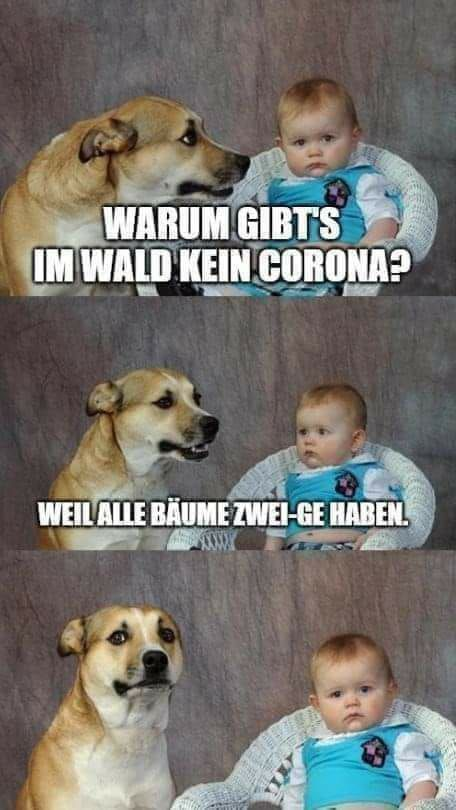 Seb_Dax's tweet photo. Ich lache wie blöd. Danke @lepuschitz https://t.co/ySaYyK5CEQ
