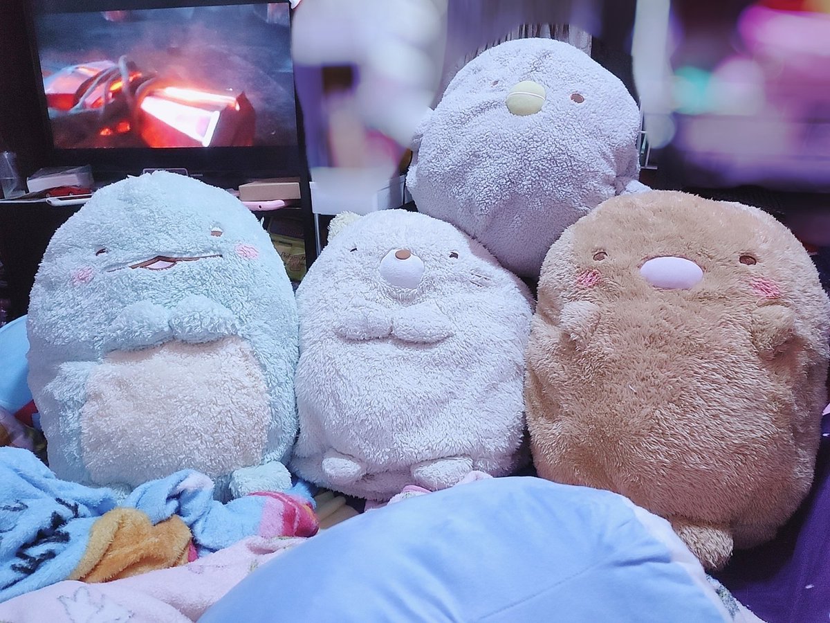 xnubain's tweet photo. sumikkogurashi ❤️ https://t.co/0GRePmJ8gk