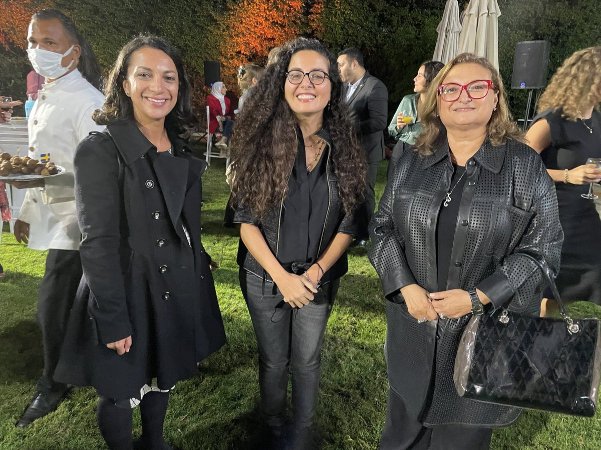 Hanan Abdel Meguid tweet media