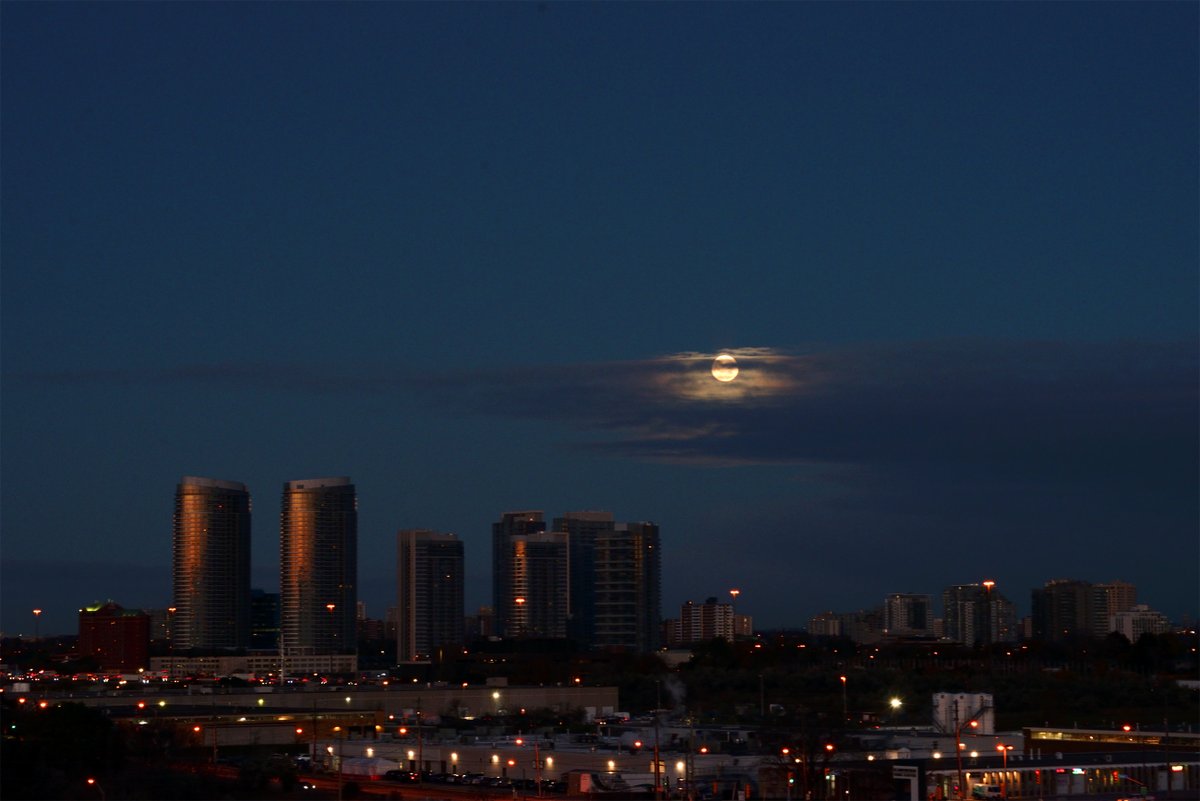 JBNaturalDesign's tweet photo. Got up before 4am to witness the lunar eclipse this morn! Some shots a couple of hours later too. It was so worth the early rise!
#LunarEclipse2021 #beavermoon #Eclipse #scarboroughtowncentre #moon #eclipseofthemoon https://t.co/BEgq31PiwP