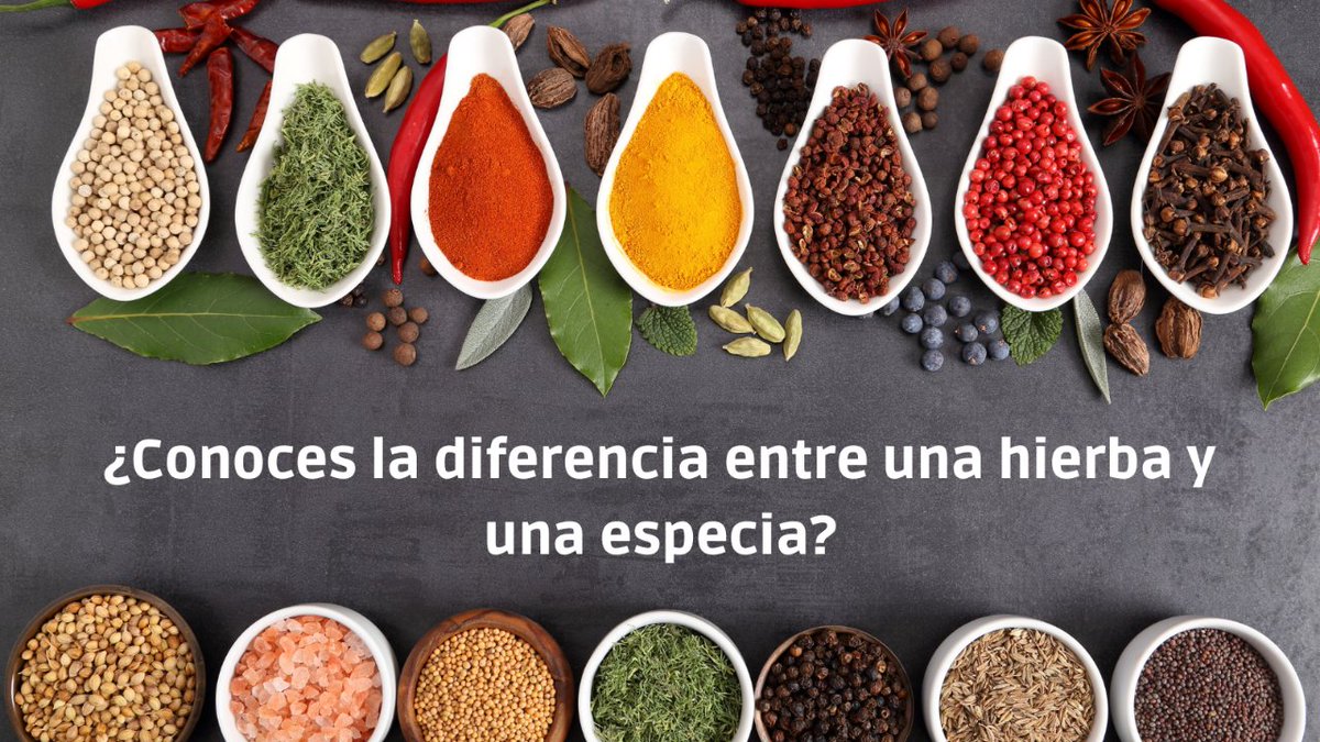 BonaliaEco's tweet photo. Una hierba es la que se emplea específicamente a partir de la hoja de una planta, en cambio una especia puede provenir de la semilla, de baya, del tallo, de la corteza, la raíz o el bulbo de una planta. https://t.co/SDCbUOmmim