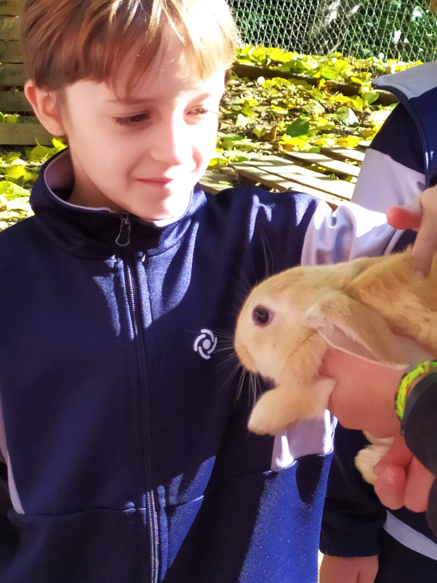 amtorne2's tweet photo. Ens agraden els animales de granja i aprenden con som. #Gryffindor2n https://t.co/4z55EL8SRs