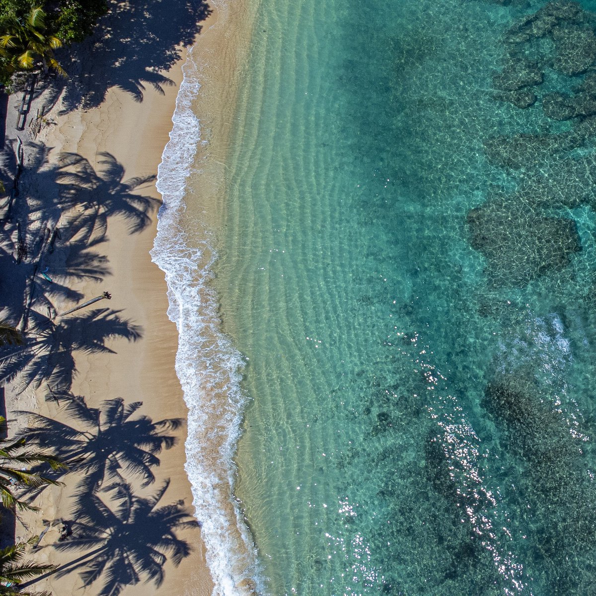 fly_byguy's tweet photo. Papua island, Indonesia. Mini 2. 
#flybyguys #drones #Indonesia #papua https://t.co/XyHwT9WwOR