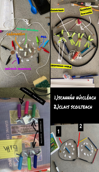 GCCCW1's tweet photo. Bhí na #prionsabailmagenta in úsáid ag 5 Bitheolas inniu agus samhail iontacha den gcilldeighilt á gcruthú. @MikeHughesETS #magentaprinciples in action for 5 Bio inniu; scientifically accurate models were the result! https://t.co/bgbFfE5HQN