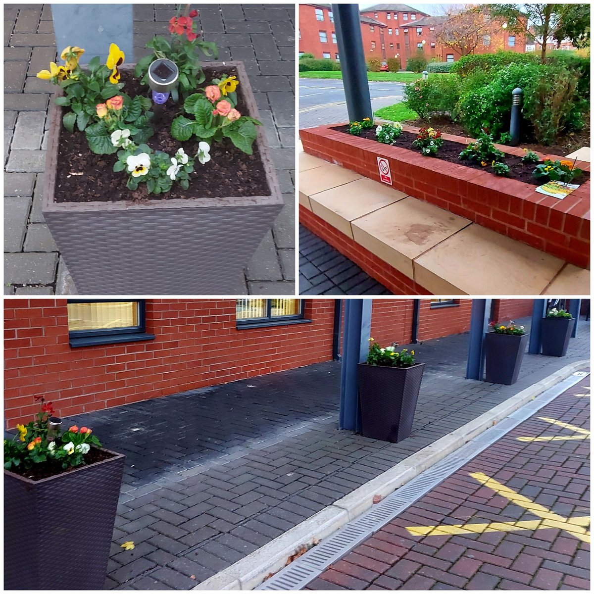 null ACCESS DEIED TO BISTRO PATIO for 1 MONTH YOUR Housing don't think it's a priority to put flags down,so £2000 of plants/dwarf fruit trees,unable to water/plant plants+ bulbs,overwinter perennials Just let them ALL DIE.Loved by many residents, only thing keeping me going https://t.co/nQKC9RRT3V