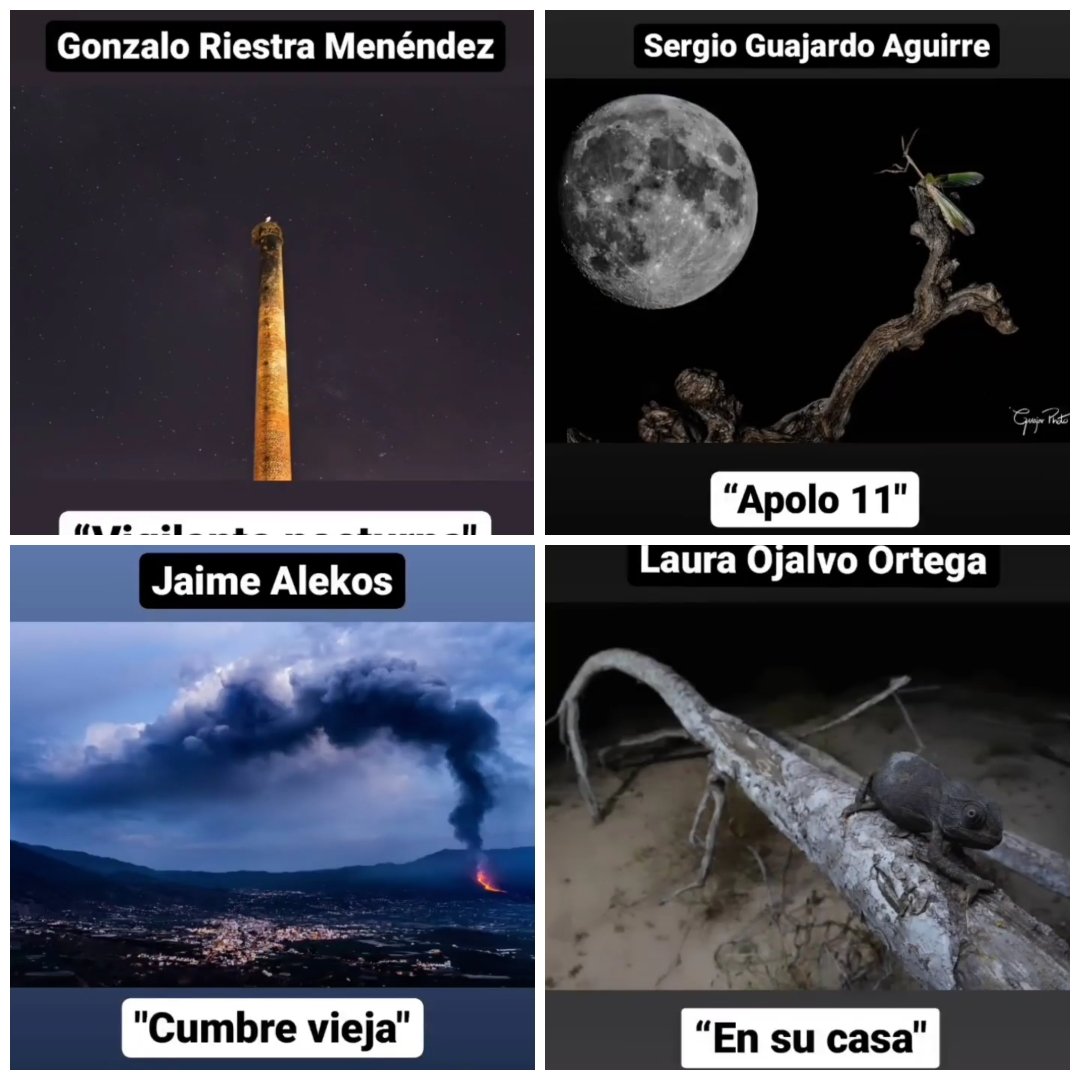iberozoa's tweet photo. ¡Ya conocemos los 10 finalistas del III Microconcurso! 🥳 El domingo 21 a las 19:00 revelaremos las fotografías ganadoras en un directo en instagram: @iberozoa https://t.co/wv2lPZeJmh
👆 Nuestra idea es hacer concursos interactivos, ¡estamos encantados de contar con vosotros! 😆 https://t.co/sT3JG6hHKi