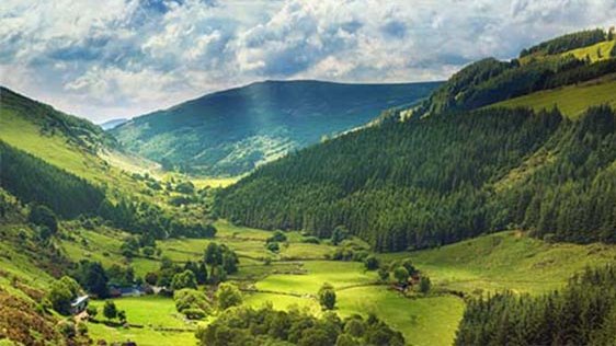 Ireland Today tweet media