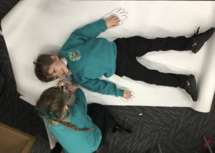 whitehouseps's tweet image. Reception have been practising formulating their own questions this week. Here are some of the Sparrows carrying out some of their own research to answer questions:‘What’s under my bones?’- Jacob. ‘Is it the same as a horse?’- Darcy @whitehouseps @NTynesideEY #sharedthinking