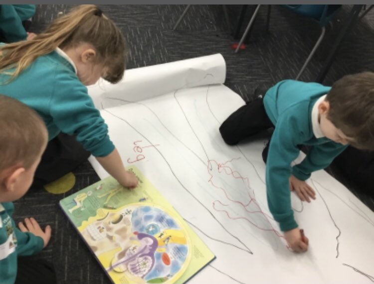 whitehouseps's tweet image. Reception have been practising formulating their own questions this week. Here are some of the Sparrows carrying out some of their own research to answer questions:‘What’s under my bones?’- Jacob. ‘Is it the same as a horse?’- Darcy @whitehouseps @NTynesideEY #sharedthinking