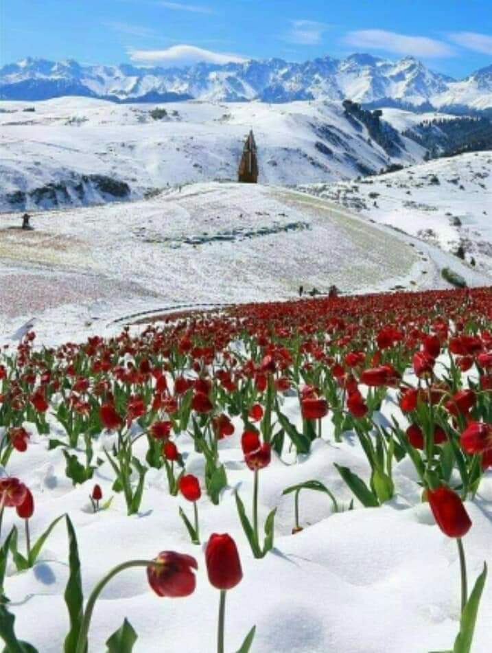 <a href="/AGMRedMylene/">🍒🥀🦋simply_Red🦋🥀🍒</a> Good morning dear, I'm fine, hope you are too. Wish you peace, happiness and success✨🙏😊🌺🥰🌹💖🤗