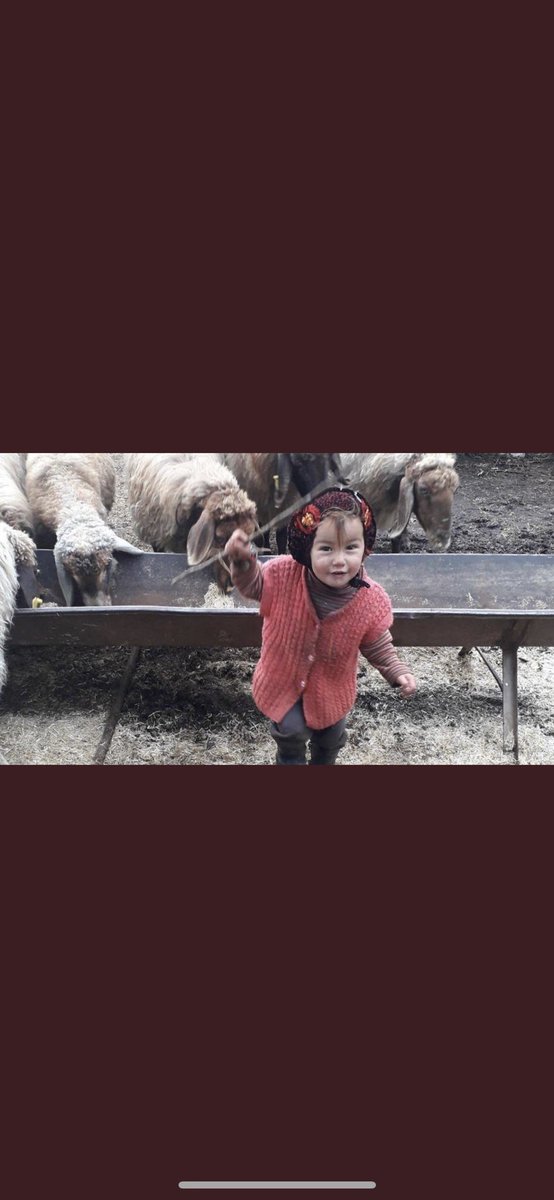 DemetAkalin's tweet photo. İdam gelsin! İdam gelsin! Bu orospu çocuklarını beslemek zorunda değiliz… bulunmuş cansız bedeni! Allah belanızı versin ne diyim yaa vallahi yıldık boğazıma saplandı bi ağrı!! https://t.co/XvYkrAncDv