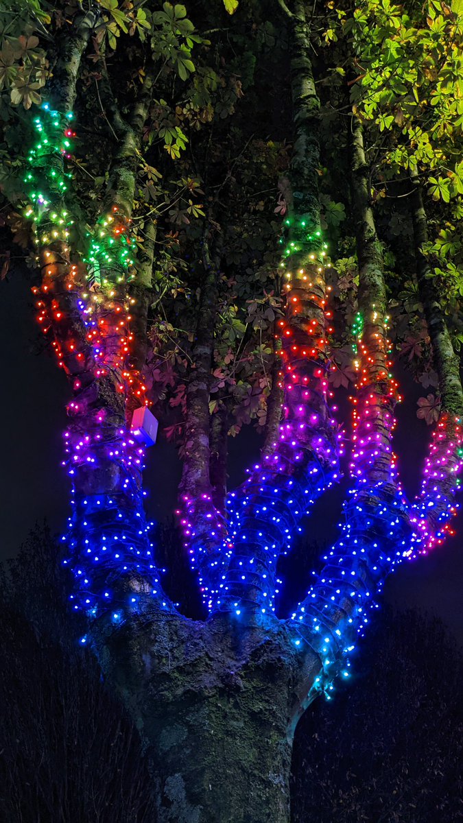Loving the Christmas lights outside <a href="/santanderuk/">Santander UK</a> in Plymouth. Looking really pretty. Well done <a href="/plymouthcc/">Plymouth City Council</a> <a href="/PlymCityCentre/">Plymouth City Centre Company</a> 
#christmas #plymouth
