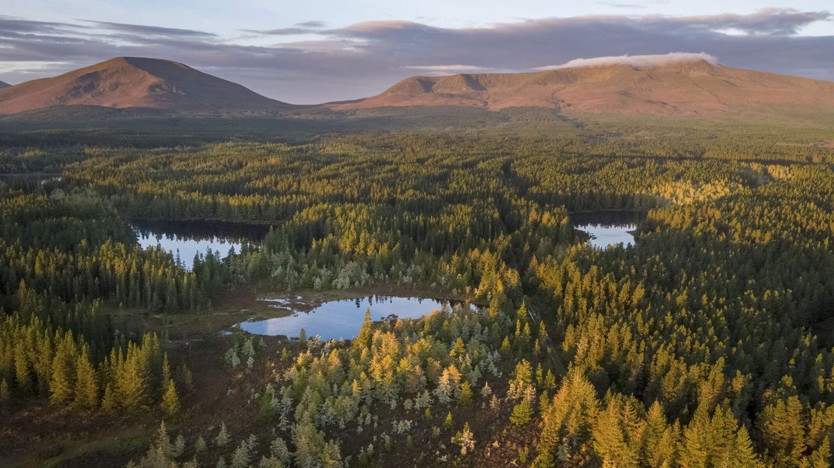 Failte_Ireland's tweet photo. New long-term tourism plan for Clew Bay - Paul Kelly, CEO @Failte_Ireland “This new Plan captures the unique themes central to Clew Bay, is about looking to the future of #tourism in the region &amp; will be hugely important as we work towards recovery. https://t.co/6q6EfExbnq https://t.co/mL1SZVRO22