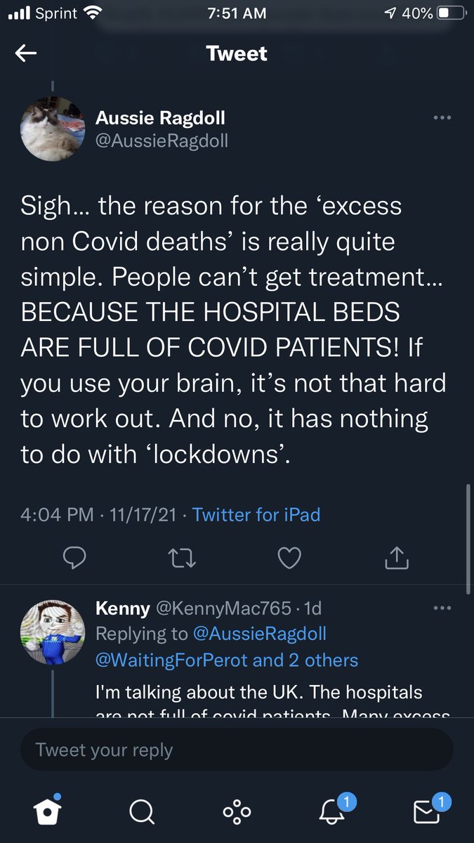 masecannon's tweet photo. @AussieRagdoll @Toby8282 @KennyMac765 @WaitingForPerot @YaffaRaz You really are on another level of stupid. https://t.co/gP7cFhwnaR