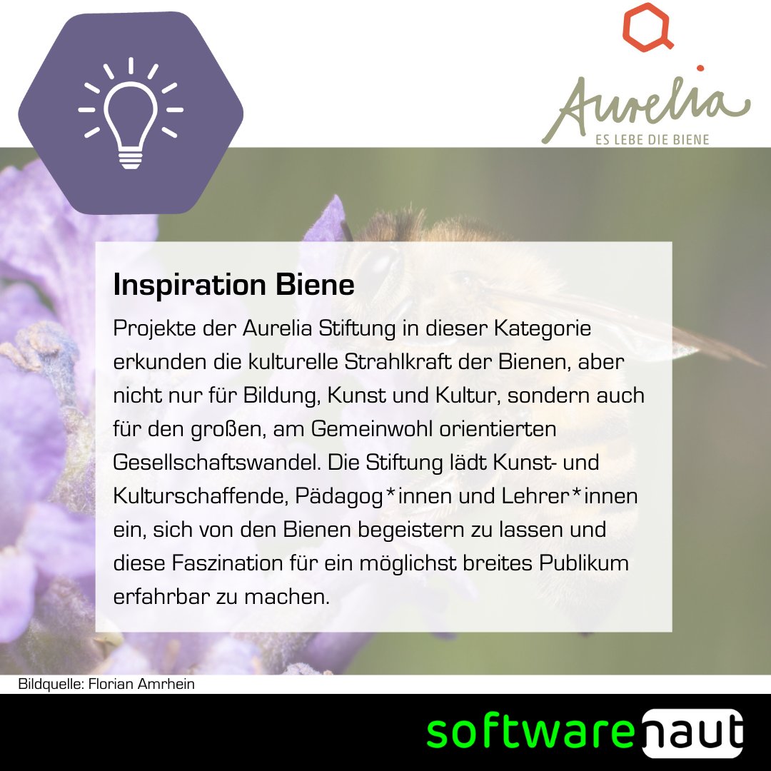 softwarenaut's tweet photo. #Letsbeegreen 🐝 Spendet jetzt für @EsLebeDieBiene und macht die Black Week zur Green Week! 
4/4: Inspiration Biene!

Spendet unter https://t.co/l5rZaFtcbB 

#beyondprofit #ITsocialenterprise #softwarenaut #eslebediebiene #greenweek #blackfriday #blackweek https://t.co/vQgu5O7ga0