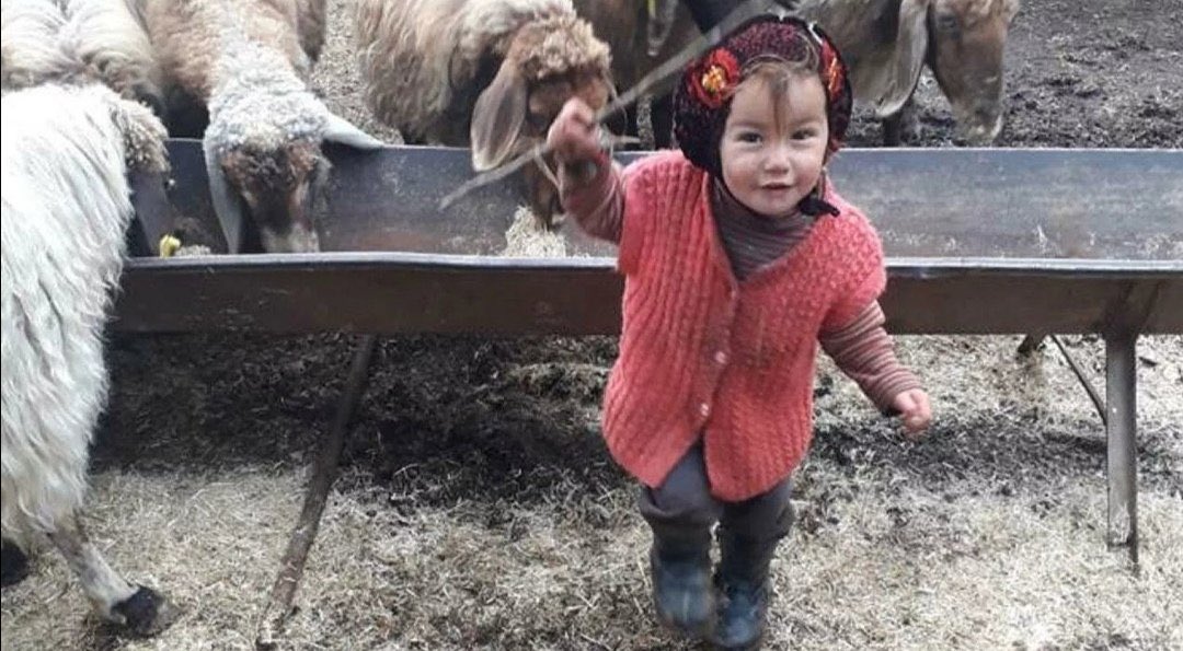canselkemiksiz's tweet photo. Dostoyevski "İnsancıklar" adlı kitabında: "Çok tuhaftı, ağlayamadım. Ama ruhum paramparça olmuştu." demiş hepimizin yerine…  YETER! Nasıl bir dünya bu.. #muslume https://t.co/ZRm3mCXdfJ