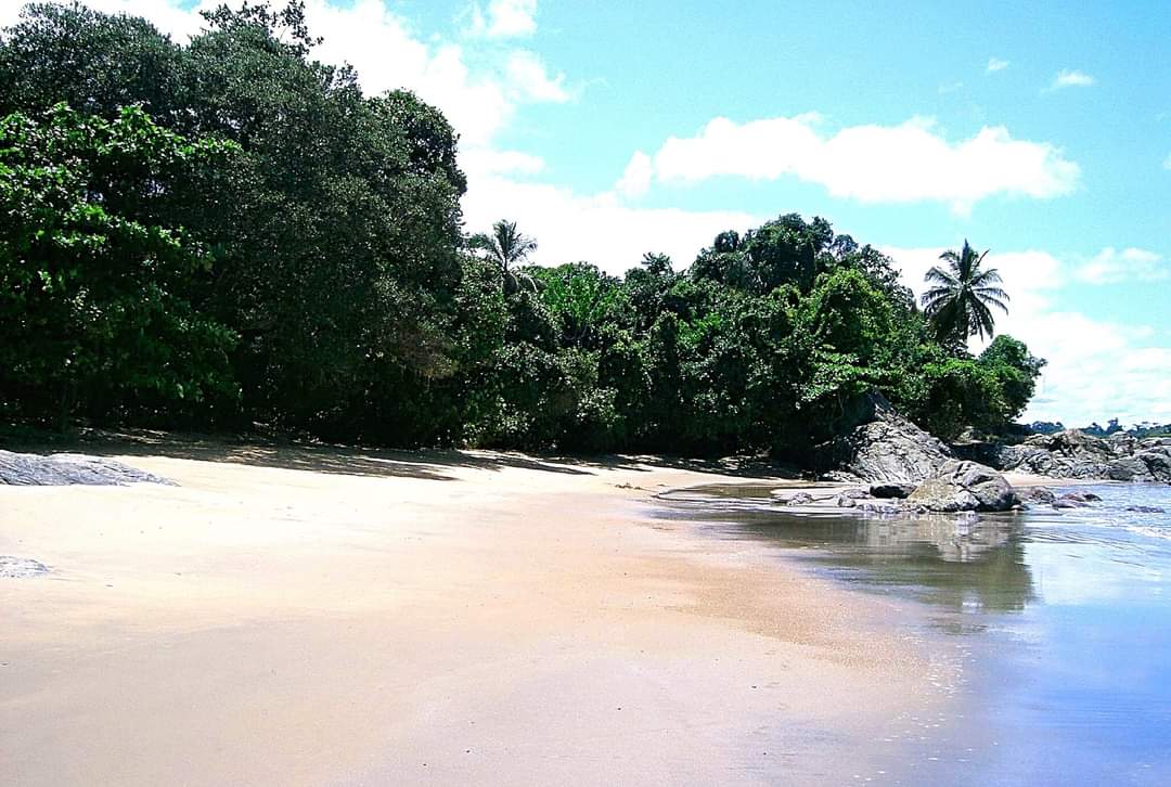 MauvaisRenegat's tweet photo. Kribi, département de l'Océan, région du Sud au Cameroun 🇨🇲 https://t.co/WuLMc5XYVV