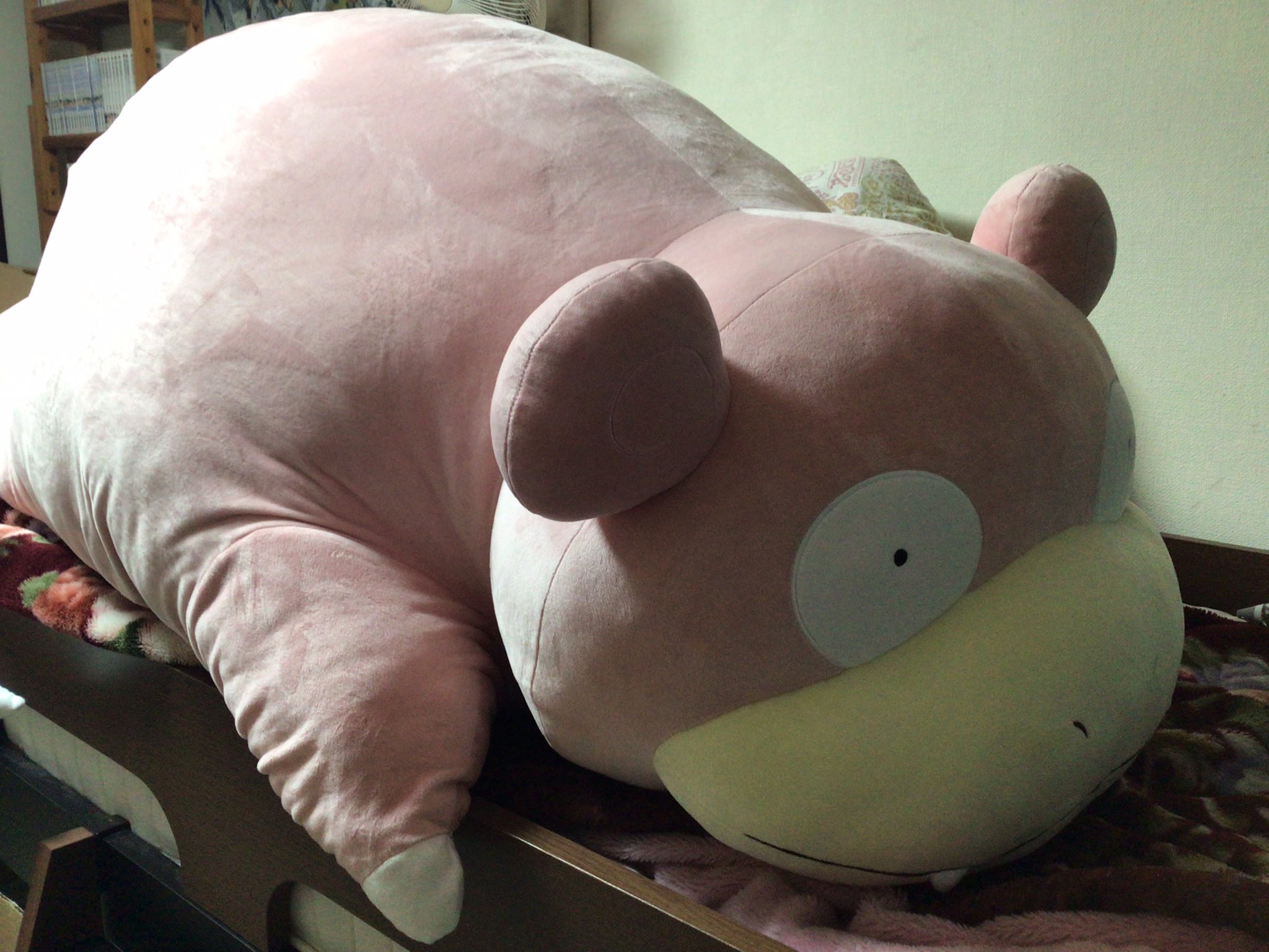 部屋の大きさを考えずに 等身大ポケモン ぬいぐるみを買った結果ｗｗｗ えのげ