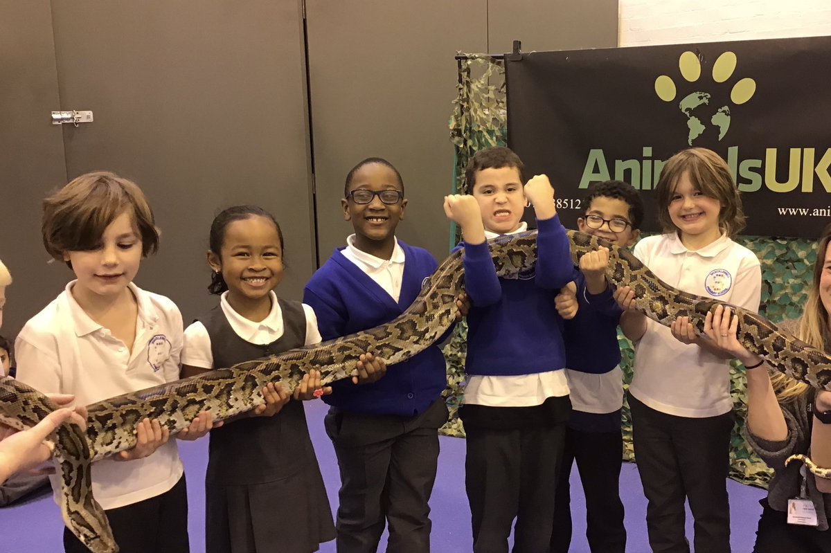 MissTaylor2W's tweet photo. 2W were so excited to have a visit from some animals to support our science learning yesterday! 🐍🕷🦉@ShacklewellE8 https://t.co/l4D5LUKELE
