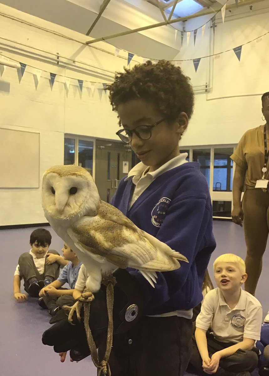 MissTaylor2W's tweet photo. 2W were so excited to have a visit from some animals to support our science learning yesterday! 🐍🕷🦉@ShacklewellE8 https://t.co/l4D5LUKELE