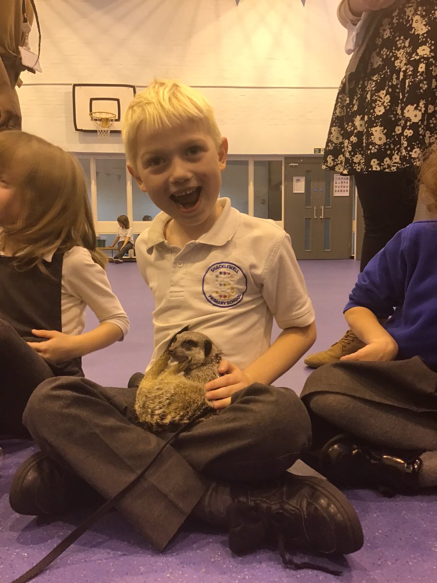 MissTaylor2W's tweet photo. 2W were so excited to have a visit from some animals to support our science learning yesterday! 🐍🕷🦉@ShacklewellE8 https://t.co/l4D5LUKELE