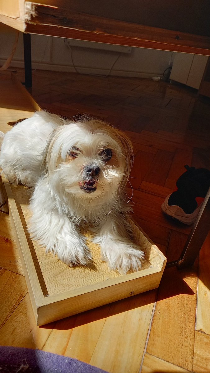 Ari Cister🎤 @aricister tweet media