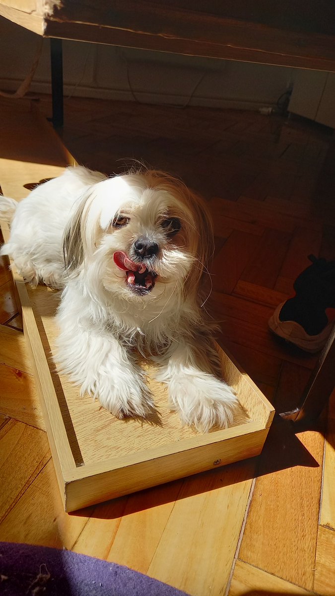 Ari Cister🎤 @aricister tweet media