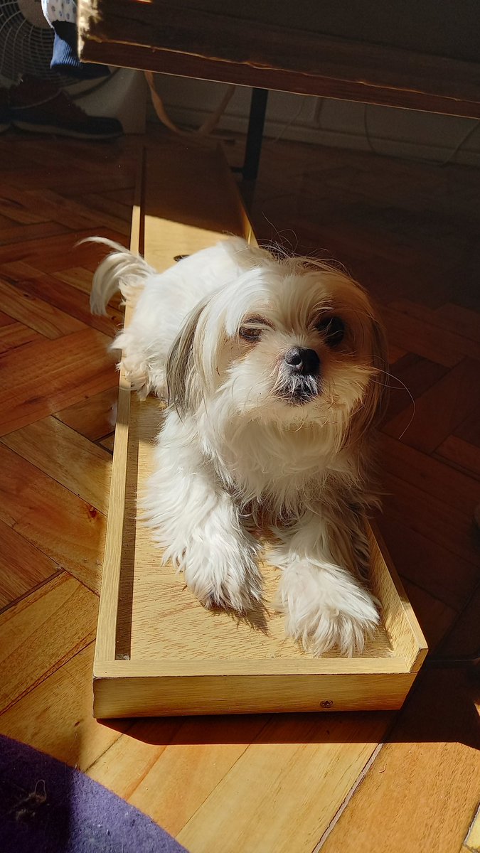 Ari Cister🎤 @aricister tweet media