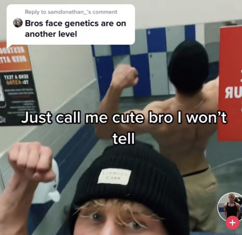 WholesomeMeme's tweet image. 