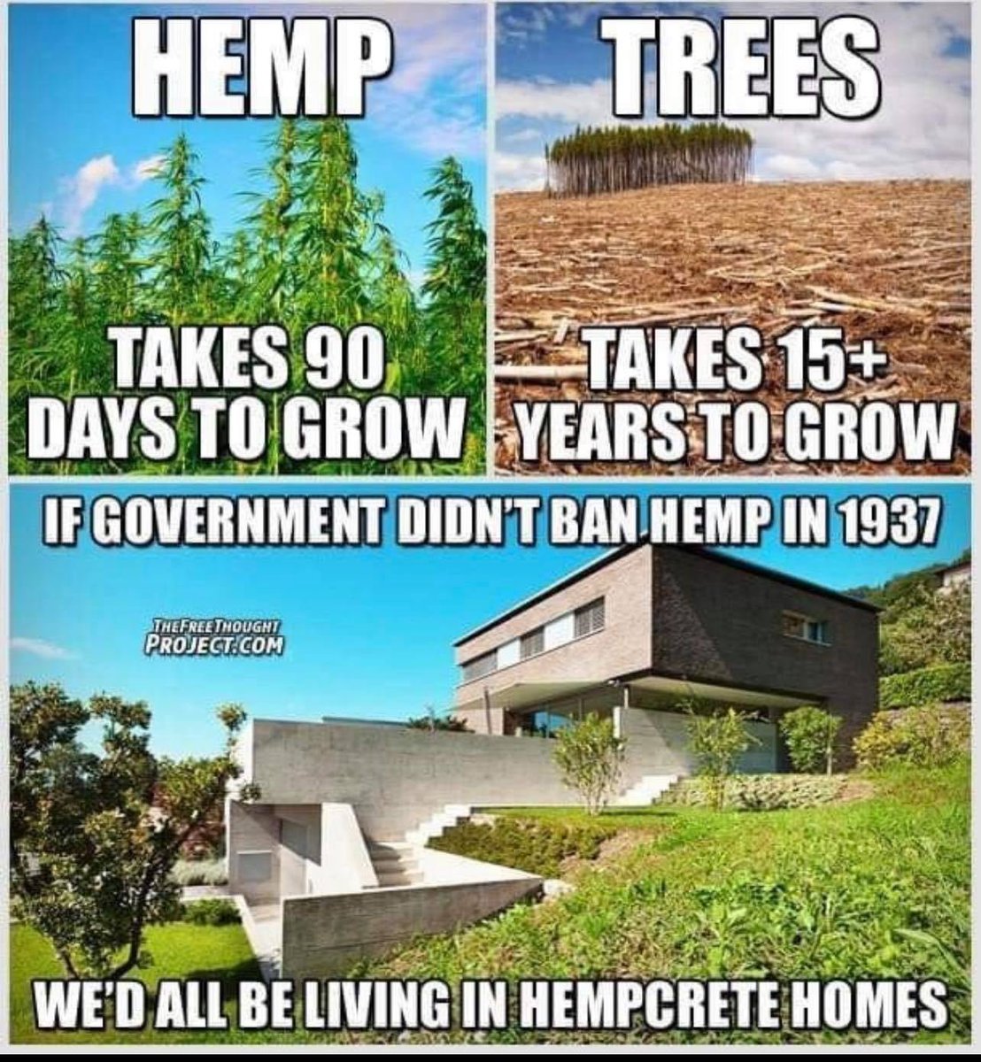 cannaworldsite's tweet photo. https://t.co/ulO8lRFLbf