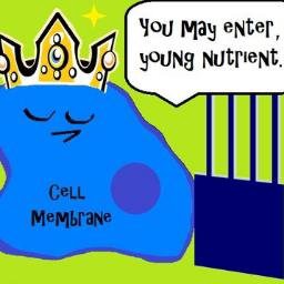 TheBranefor21's tweet photo. We rule over who enters and passes through our kingdom
#rmorganelles21 https://t.co/jPR5VWDNPX